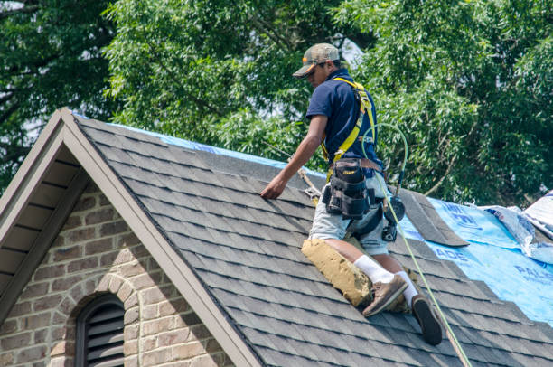 Gutter Installation and Roofing in Cuero, TX